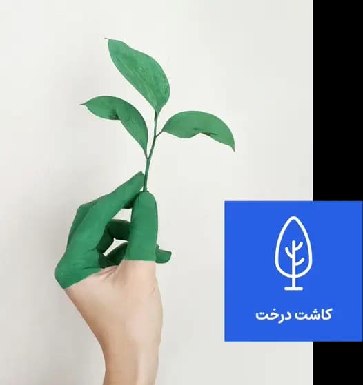 محیط زیست