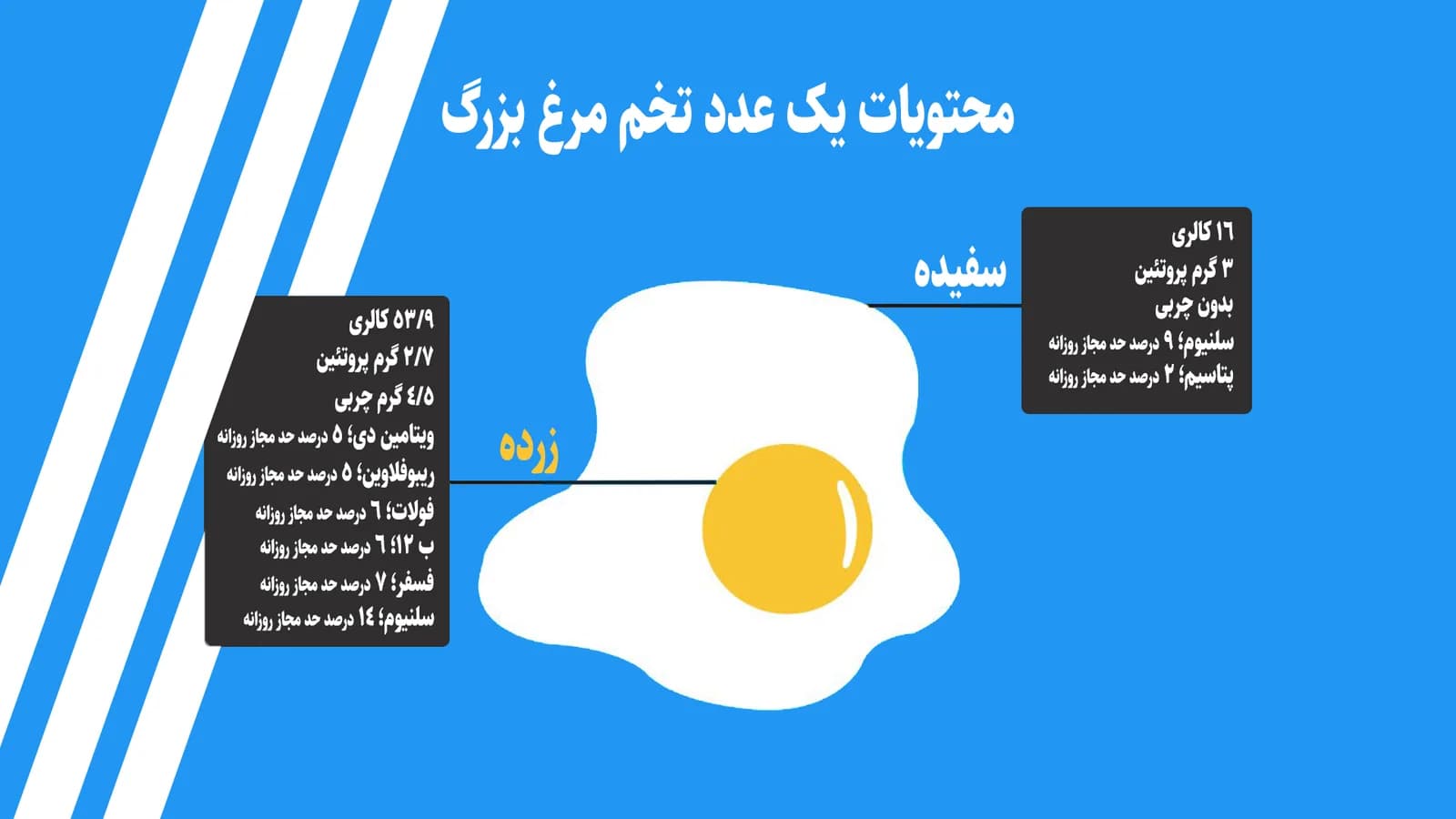 محتویات تخم مرغ