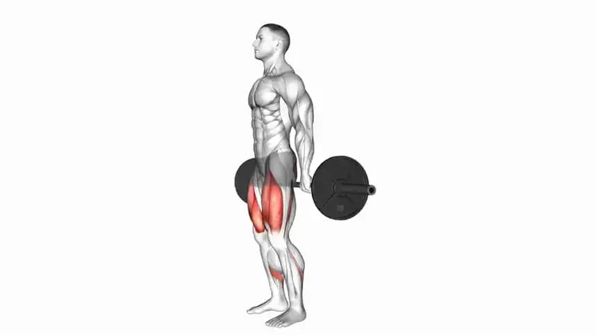 نحوه اجرای صحیح حرکت هاک اسکات با هالتر در باشگاه بدنسازی