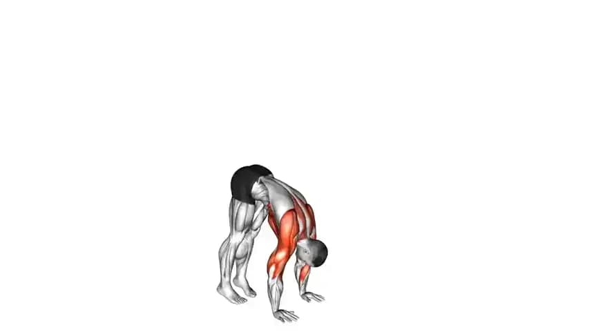 فردی در حال انجام حرکت شنا وارونه (Handstand Push Up) در کنار دیوار