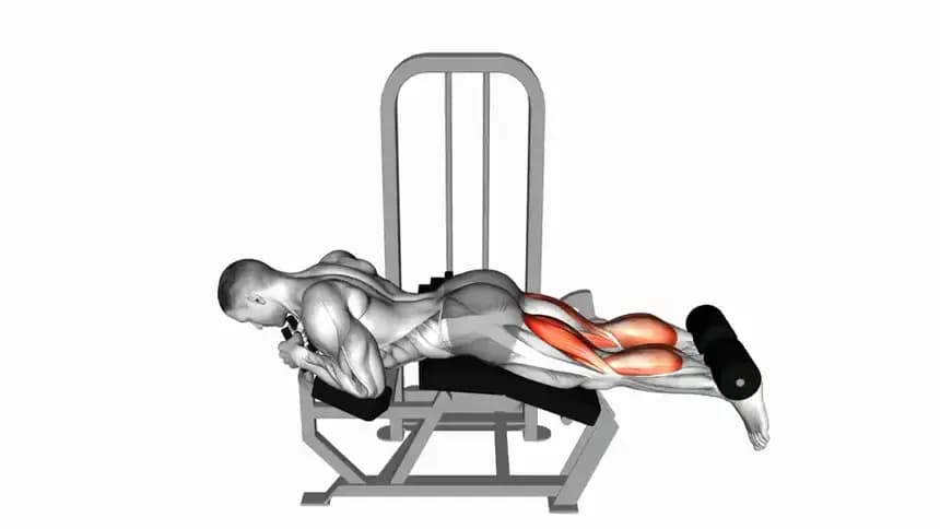 آموزش پشت پا خوابیده با دستگاه | Lever Lying Leg Curl