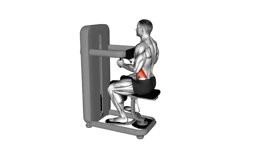 فردی در حال انجام حرکت چرخش نشسته با دستگاه برای تقویت عضلات مورب شکم