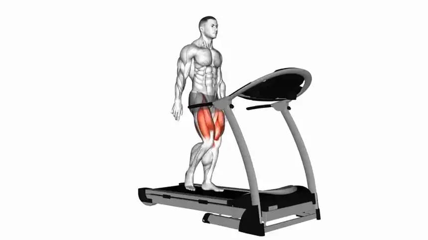 یک فرد در حال پیاده‌روی با فرم صحیح روی تردمیل در باشگاه