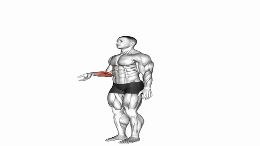 یک فرد در حال انجام حرکت فلکشن مچ دست با دمبل، نشسته و ساعد روی ران قرار گرفته است.