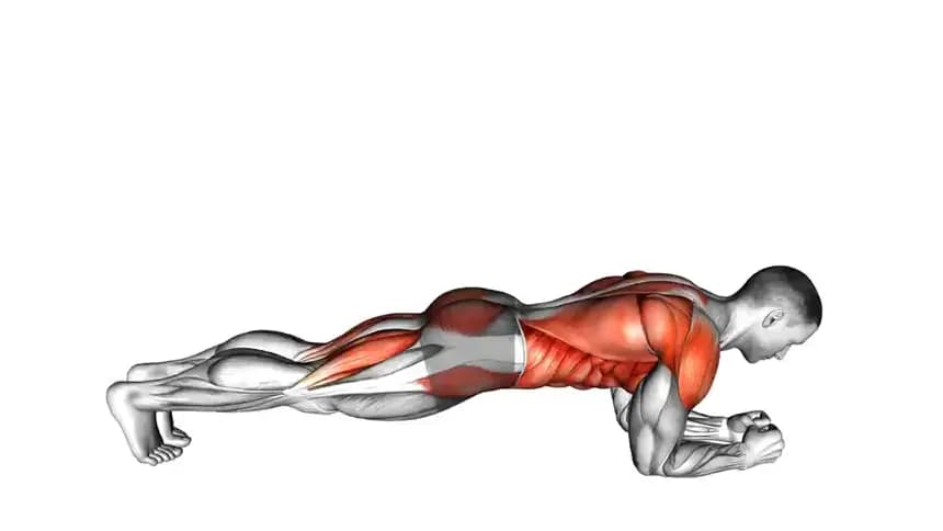 آموزش تصویری حرکت پلانک به پایک برای تقویت عضلات شکم