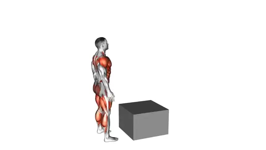 یک فرد در حال اجرای تمرین پرش روی جعبه، در لحظه فرود نرم بر روی یک جعبه ورزشی محکم