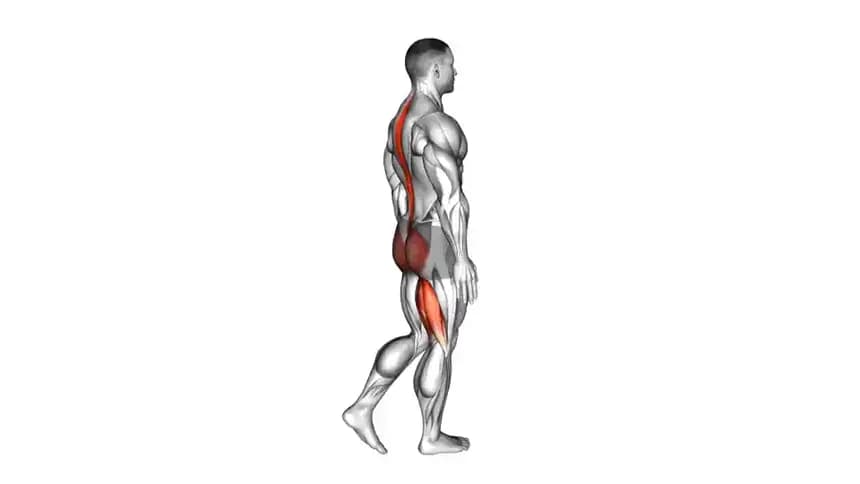 فردی در حال اجرای حرکت ددلیفت رومانیایی تک پا با وزن بدن، با پشت صاف و یک پای کشیده به عقب