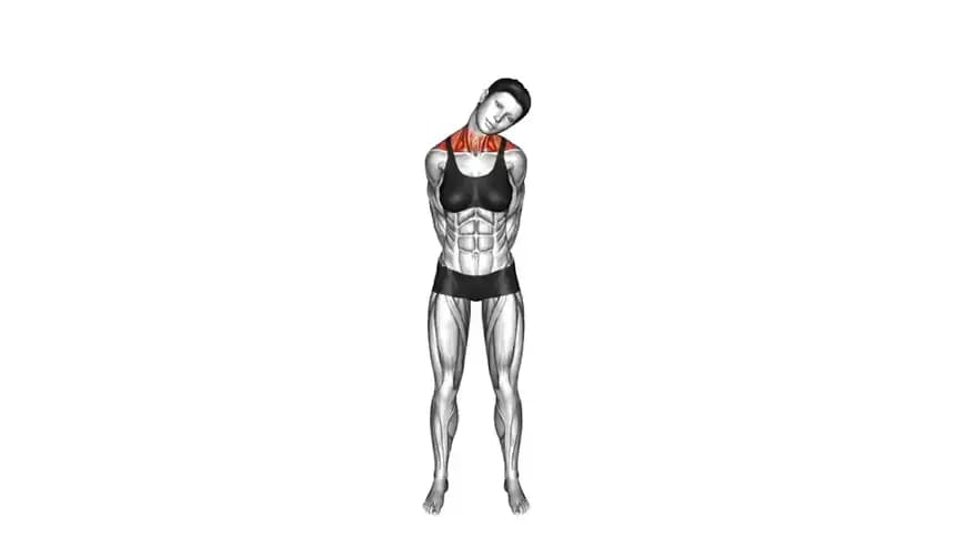 آموزش تصویری حرکت کششی نیم دایره گردن به حالت نشسته