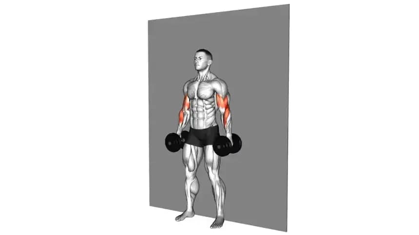 فردی در حال انجام حرکت کرل سخت با دمبل به صورت ایستاده، با فرم صحیح و تمرکز بر عضلات دوسر بازو