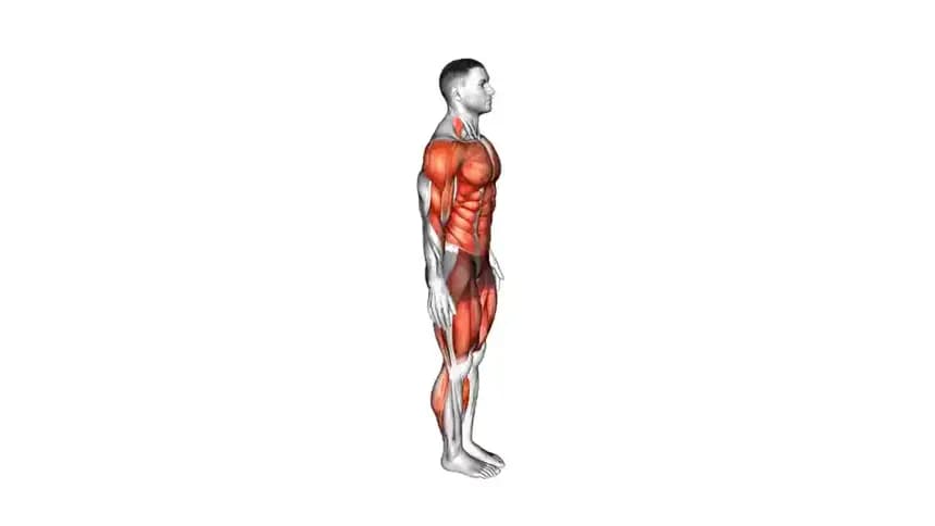 آموزش تصویری حرکت برپی با شافل (Burpee Shuffle) برای تقویت پا و شانه