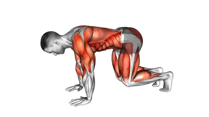 آموزش تصویری حرکت شنا خرسی (Bear Push Up) برای تقویت عضلات سینه و شانه