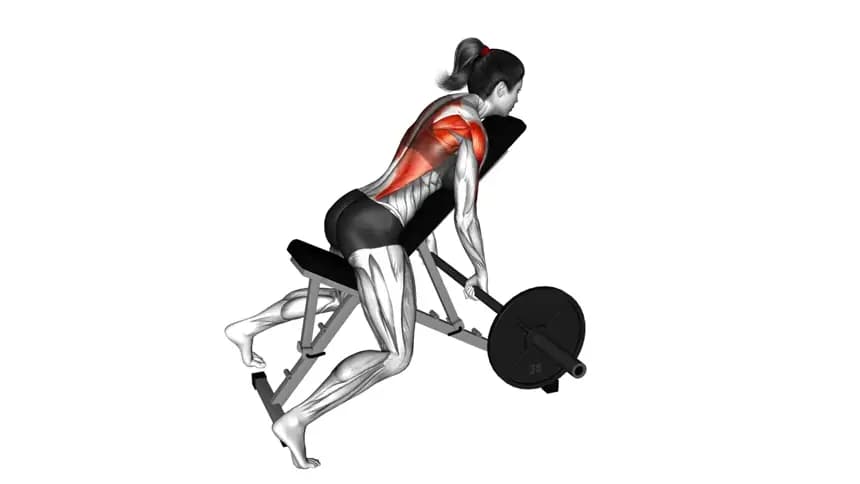 یک زن در حال اجرای حرکت رو بالاسینه با هالتر بر روی نیمکت شیبدار