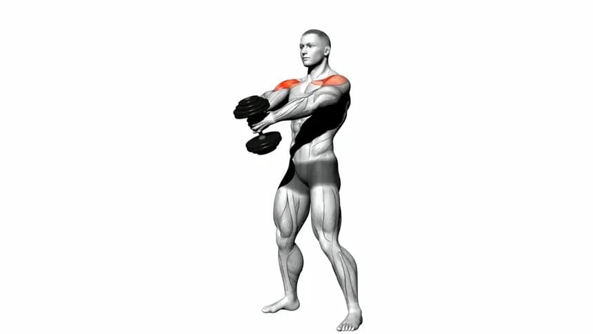 یک فرد در حال اجرای حرکت بالا بردن جلویی دمبل به روش چکشی (کف دست‌ها رو به هم) در حالت ایستاده