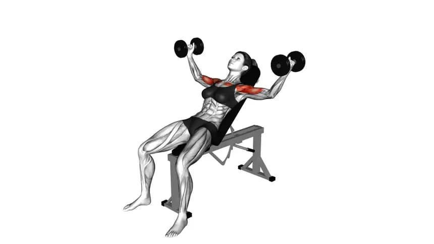 یک زن در حال انجام حرکت فای شیب دار با دمبل روی نیمکت ورزشی
