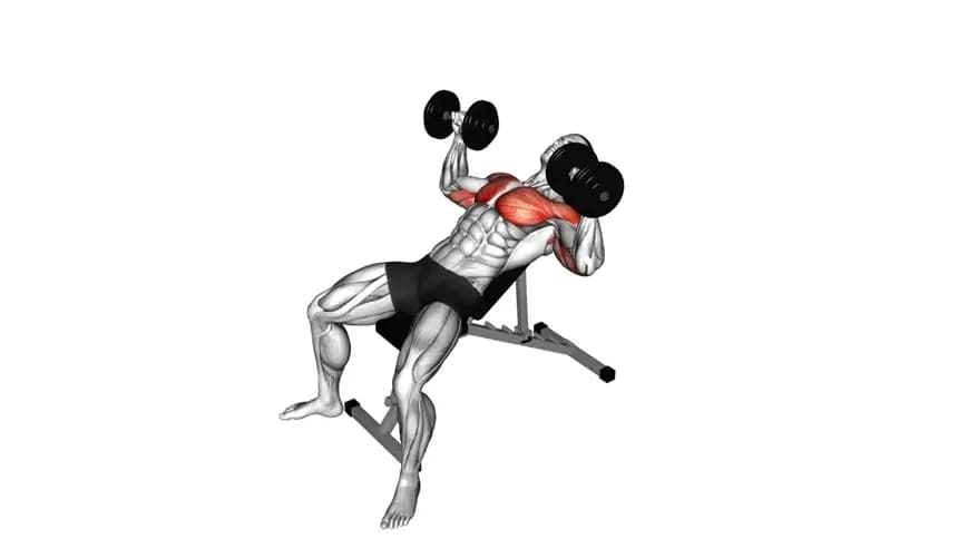یک ورزشکار در حال انجام حرکت پرس پیچشی شیب دار با دمبل روی نیمکت ورزشی