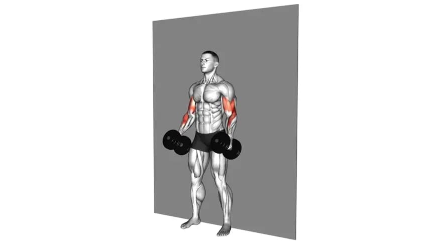 یک فرد در حال اجرای حرکت جلو بازو دقیق با دمبل به صورت ایستاده