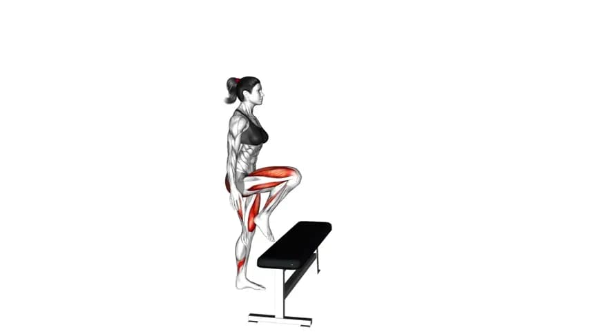 زن در حال انجام حرکت بالا رفتن پله‌ای (Step-Up) روی یک سکو