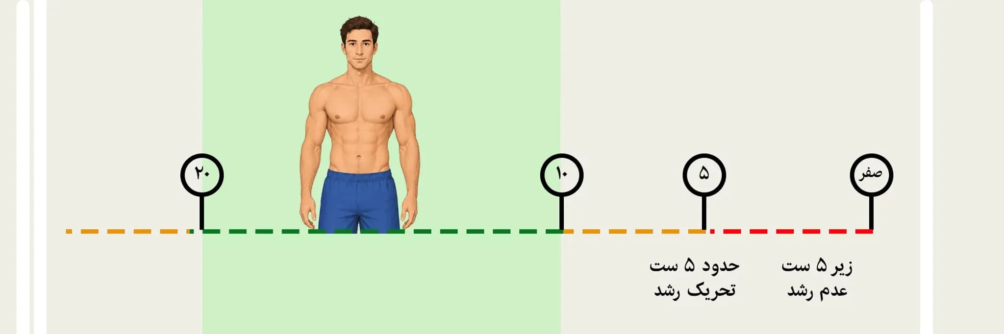 بهترین حجم تمرینی بر اساس تجربه ورزشکار